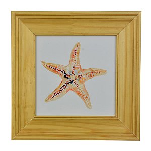 Quadro Estrela Do Mar Bege XQ-07A