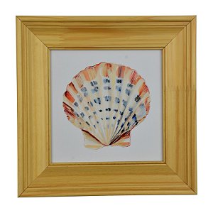 Quadro Concha Perola Bege XQ-07C