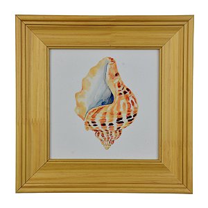 Quadro Concha Bege XQ-07D