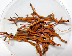 Raíz de Salsaparrilha - 50 gr