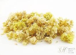 Marcela flor ( macela ) - 50 gr