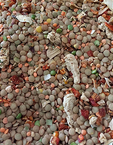 Lentilhada Vegetariana - 500 gr