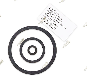 JOGO DE JUNTAS DO FILTRO DE COMBUSTIVEL - FILTER - FUEL - GASKET SET