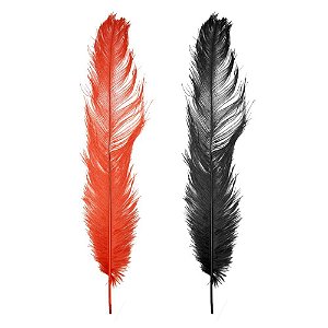 PLUMA / PENA PARA ESTIMULAÇÃO CORORAL 40CM