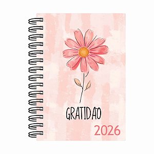 Agenda Espiral Diária Estampas 2026 Diversos Modelos Comercial