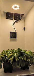 Growbox Wi-Fi BIG Quantum Led Samsung