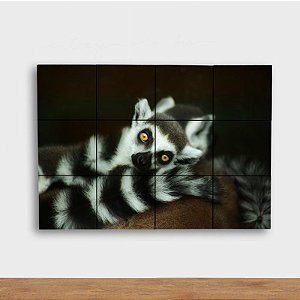 Painel Decorativo Lemuri