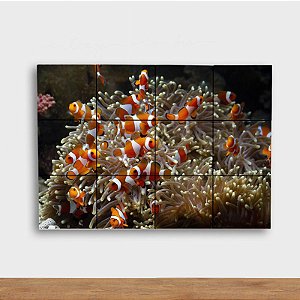 Painel Decorativo Coral e Peixes Palhaços