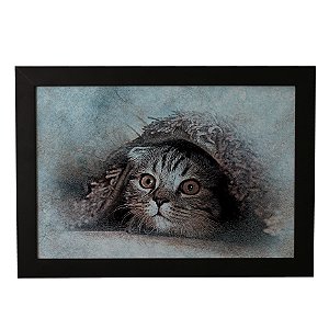 Quadro Decorativo Gatinho Escondido