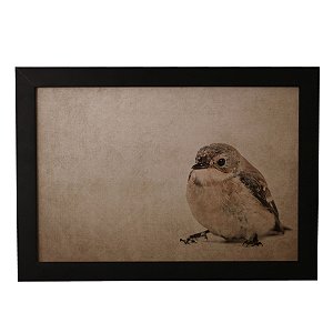 Quadro Decorativo Vintage Pássaro