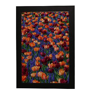 Quadro Decorativo Campo de Flores