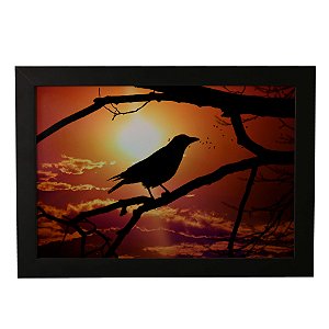 Quadro Decorativo Pássaro Sombra