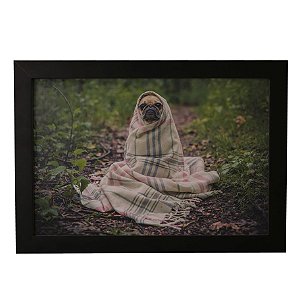 Quadro Decorativo Pug de Coberta