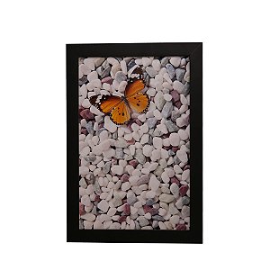 Quadro Decorativo Borboleta Nas Pedras