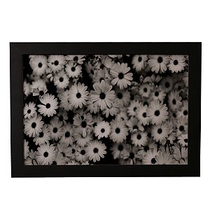 Quadro Decorativo Margaridas P&B