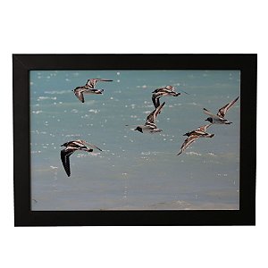 Quadro Decorativo Aves e Mar Azul