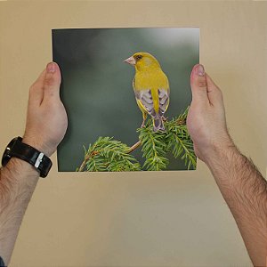 Azulejo Decorativo Pássaro Amarelo