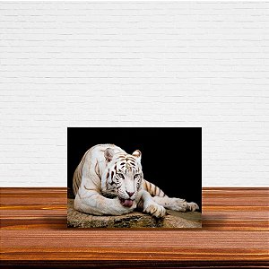 Azulejo Decorativo Tigre Branco