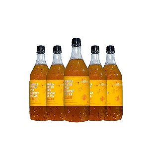 20 UND. LITROS CHOPP LAGER DEBRON - PET GROWLER INCLUSO