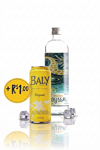 Vodka Abyssal 950ml + Baly Tropical 473ml por apenas +R$1