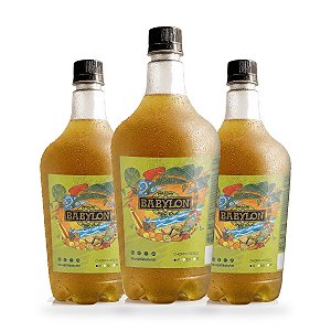 3x Chopp Babylon Spring Ale (Pêssego & Maracujá) - Growler 1L
