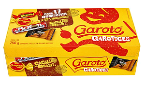 Bombom Garoto Sortidos 250g