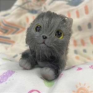 Mini Gatinho Reborn Realista - Silicone Sólido