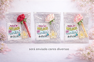 KIT MÃE VAIDOSA - ( PRESILHA, ESPELHO E GLOSS FLOR) * CORES DIVERSAS