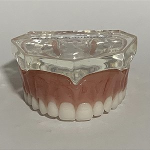 Manequim Odontológico Prótese Total Superior