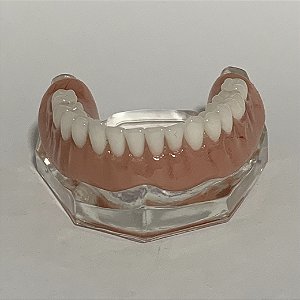 Manequim Odontológico Prótese Total Inferior