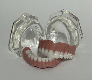 Manequins Modelos Odontológicos Próteses Totais Sup e Inf.