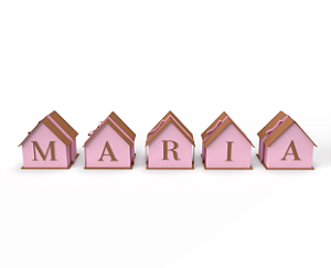 Caixa Casinha Baby Maternidade