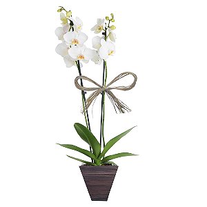 Orquídea Branca com 02 Hástes no Vaso de Madeira