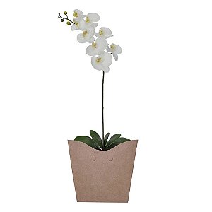 Orquídea phalaenopsis Branca no Cachepot Para Presente