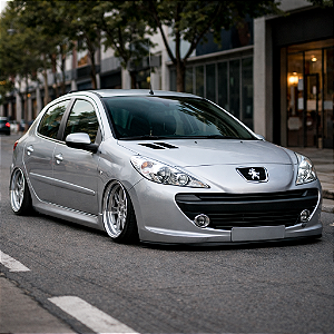 Amortecedor Preparado para 207