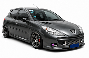 Amortecedor Preparado para 207 TURBO RUA