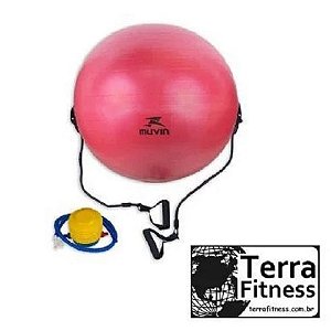 Bola Suiça com Extensores 65cm Anti-Burst - Terra Fitness
