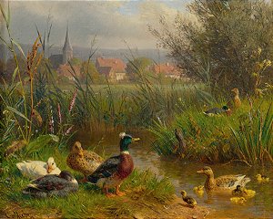 Patos -  Carl Jutz (Alemão, 1838 - 1916)