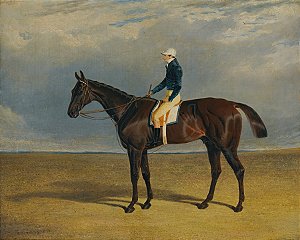 Margrave, um cavalo de corrida castanho-avermelhado - John Frederick Herring Sr