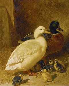 Patos e patinhos (1851) -John Frederick Herring Sr