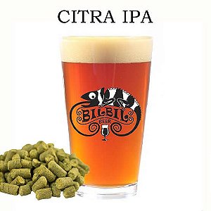 Kit Grãos para Cerveja Artesanal Citra IPA para 20l