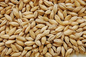 Malte Pilsen Extra Claro Agrária 100g