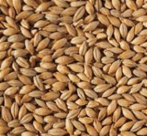 Malte Maris Otter MD Dingemans 25kg