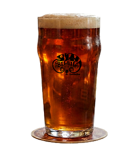 Kit Grãos para Cerveja Artesanal Special Bitter para 20l