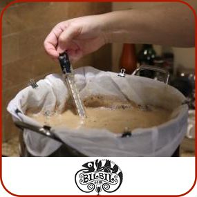 Alcalinidade da água e pH de mash para cerveja artesanal