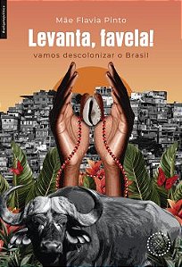 Levanta, favela!: vamos descolonizar o Brasil