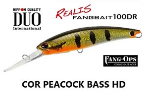 ISCA DUO REALIS FANGBAIT 100DR