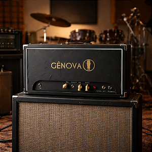 Amplificador Valvulado 20 w