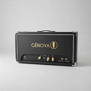 Amplificador Valvulado 20 w