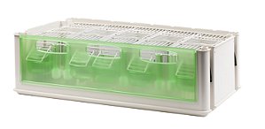 MAXI TINO MALETA DE TRANSPORTE PARA PASSAROS DE PORTE MEDIO